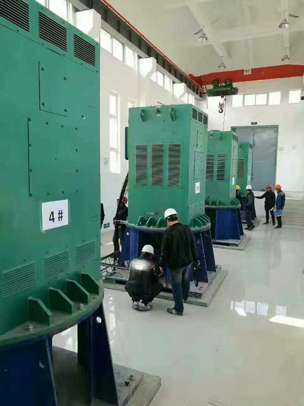 元阳某污水处理厂使用我厂的立式高压电机安装现场